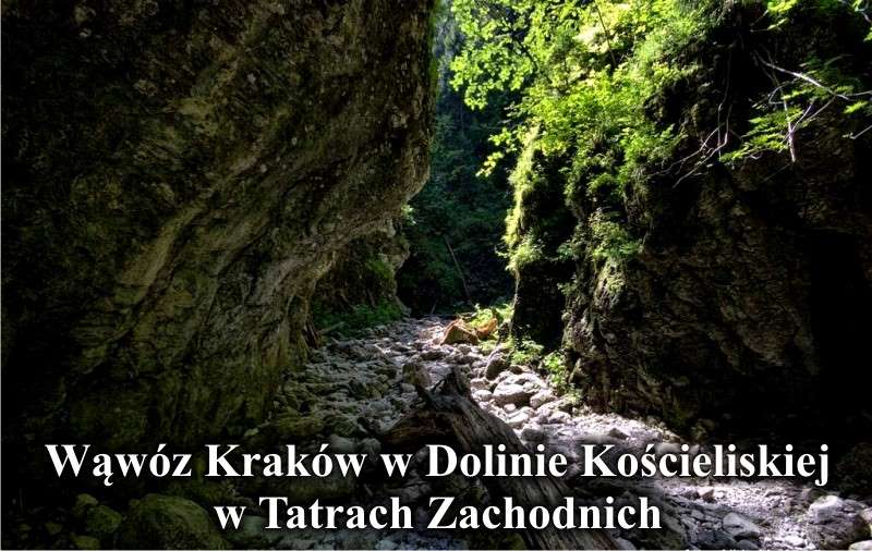 Wąwóz Kraków w Tatrach Zachodnich