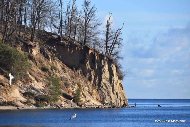 Klif Orłowski Gdynia Orłowo Bałtyk 2