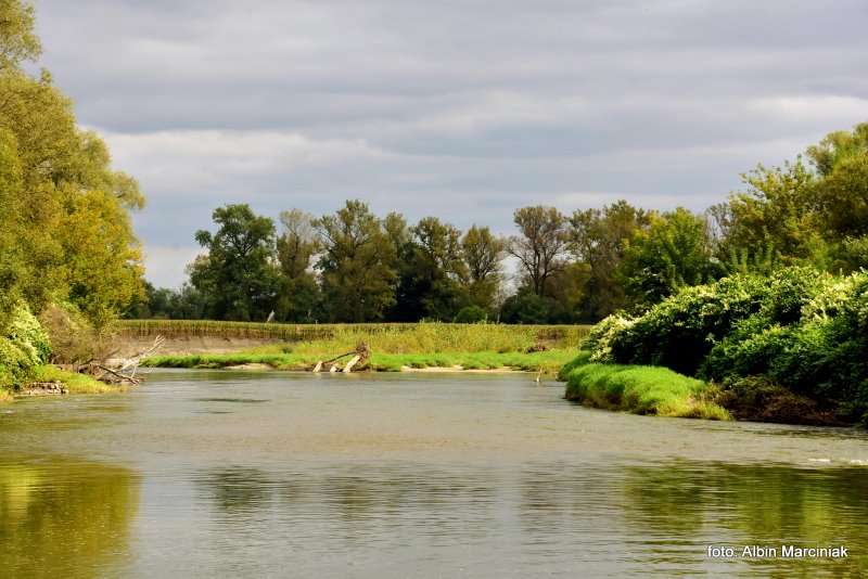 Odra spływ kajakowy 12