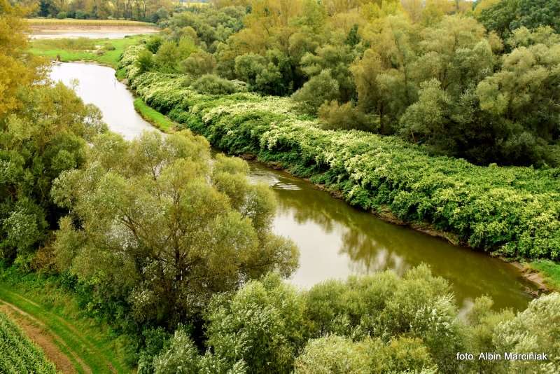 Odra spływ kajakowy 17