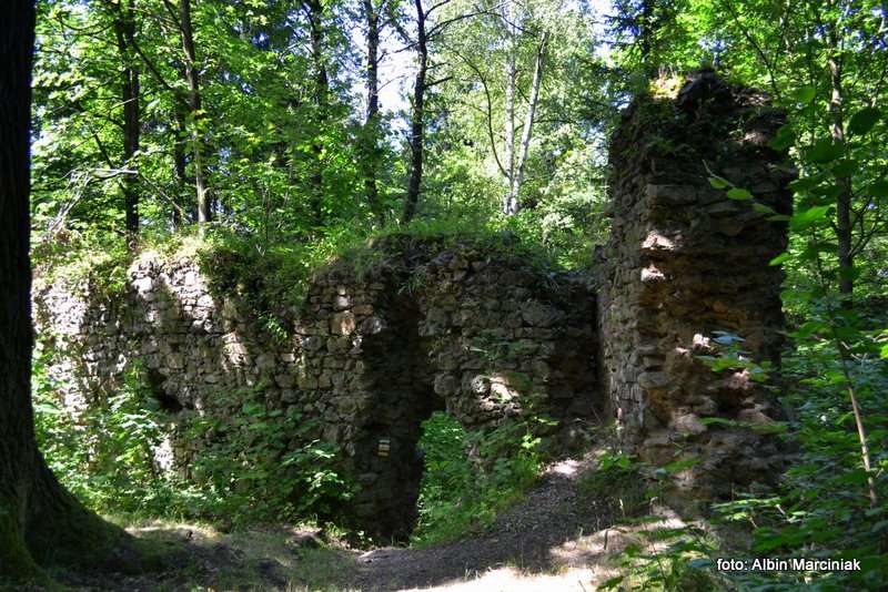 Zamek Cisy Dolny Śląsk 10
