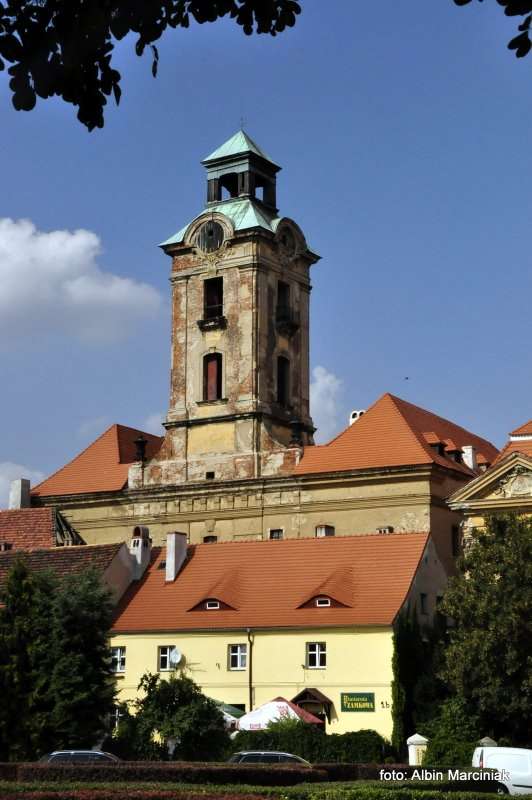 Zamek Bibersteinów w Żarach 5