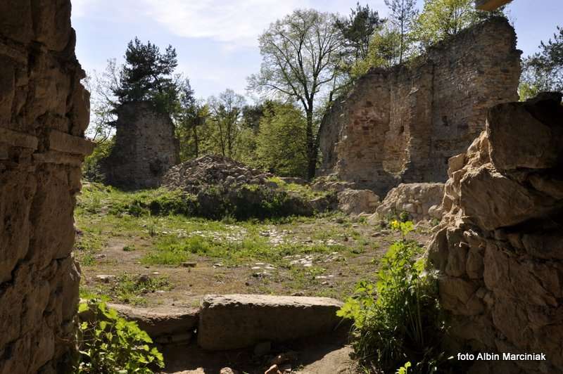 Zamek Zawiszy w Rożnowie 12