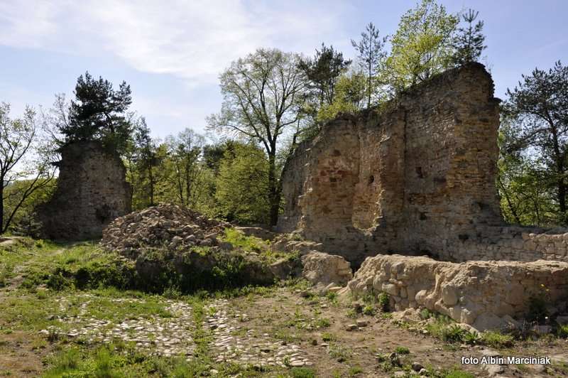 Zamek Zawiszy w Rożnowie 13