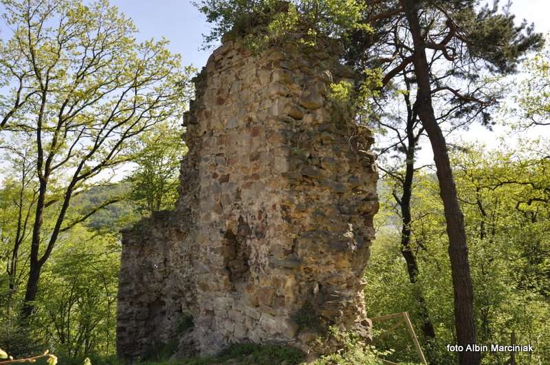 Zamek Zawiszy w Rożnowie 20