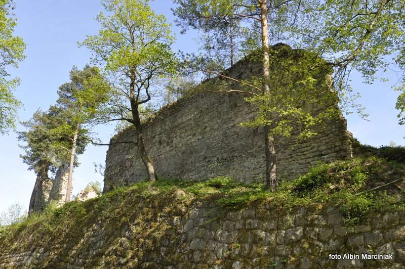 Zamek Zawiszy w Rożnowie 26