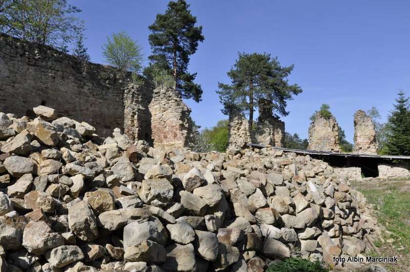 Zamek Zawiszy w Rożnowie 27