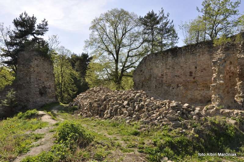 Zamek Zawiszy w Rożnowie 31