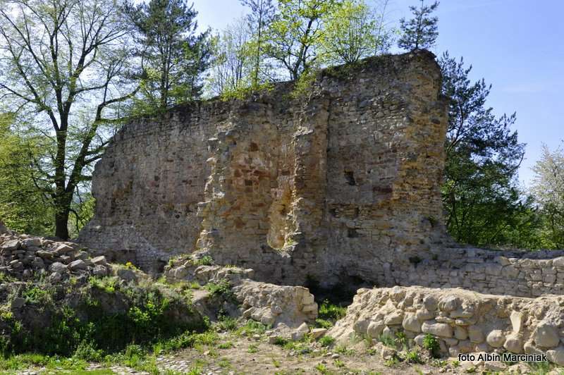 Zamek Zawiszy w Rożnowie 8