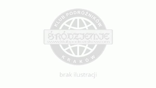 http://www.klubpodroznikow.com/images/stories/art_inne/spacer_po_krakowie/Brama%20Floria%C5%84ska%20z%20murami.jpg