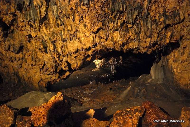 Jaskinia Nietoperzowa 7