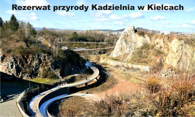 Rezerwat przyrody Kadzielnia w Kielcach