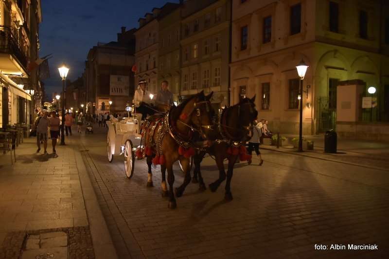 Kraków wieczór 50