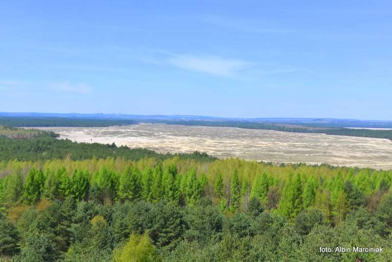 Pustynia Błędowska Małopolski Park Krajobrazowy Orlich Gniazd 1