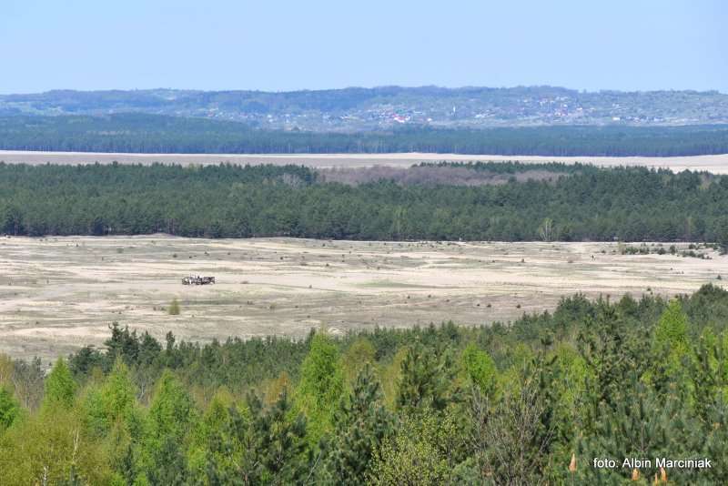 Pustynia Błędowska Małopolski Park Krajobrazowy Orlich Gniazd 4