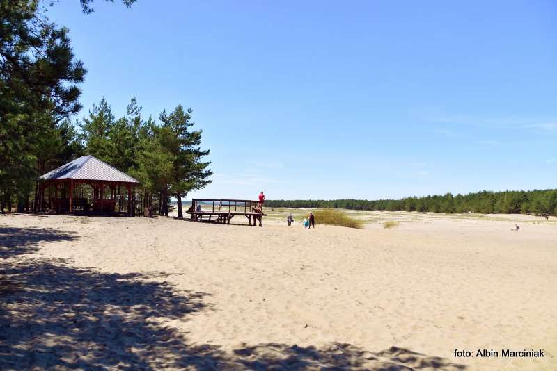 Pustynia Błędowska Małopolski Park Krajobrazowy Orlich Gniazd 53