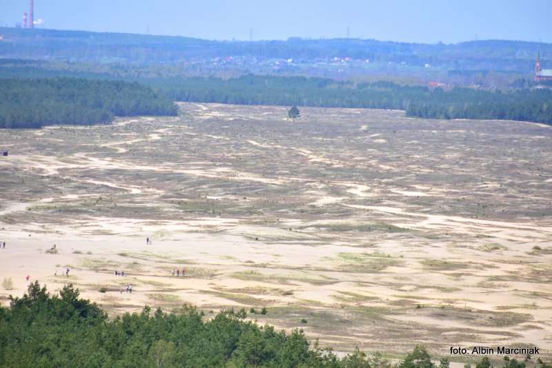 Pustynia Błędowska Małopolski Park Krajobrazowy Orlich Gniazd 7