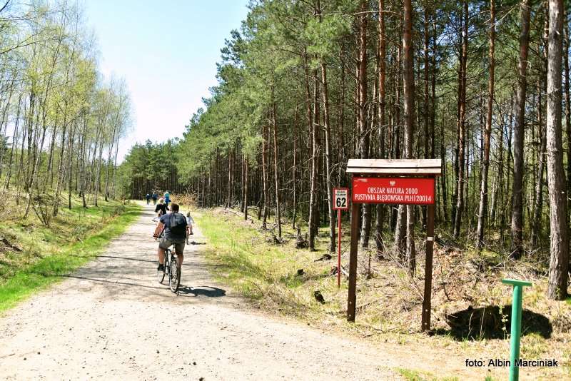 Pustynia Błędowska scieżka rowerowa 2