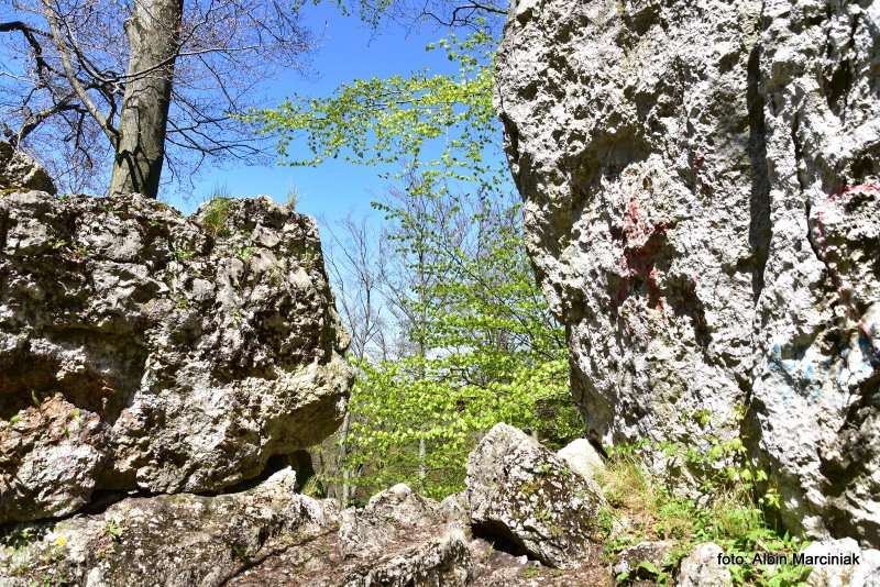 ostańce wapienne podnóże Rudnicy 1