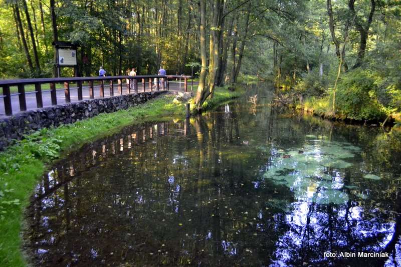 Rezerwat Przyrody Niebieskie Źródła 4