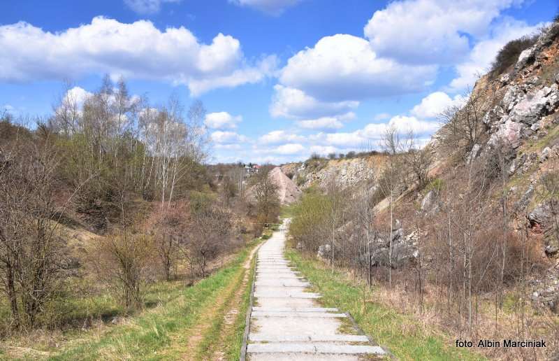 Rezerwat przyrody Wietrznia Geopark Świętokrzyski 11