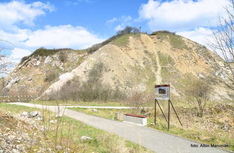 Rezerwat przyrody Wietrznia Geopark Świętokrzyski 12