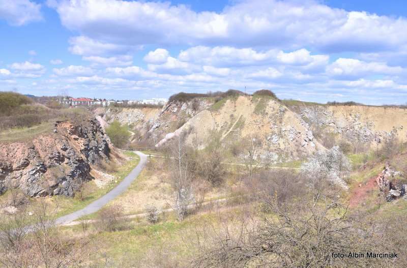 Rezerwat przyrody Wietrznia Geopark Świętokrzyski 13