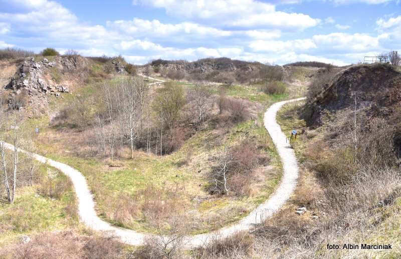 Rezerwat przyrody Wietrznia Geopark Świętokrzyski 14