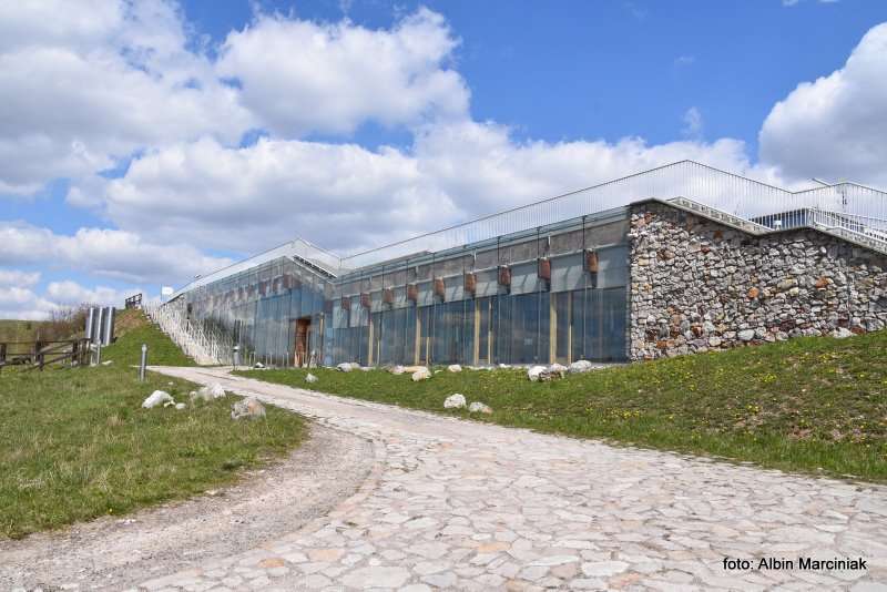 Rezerwat przyrody Wietrznia Geopark Świętokrzyski 17