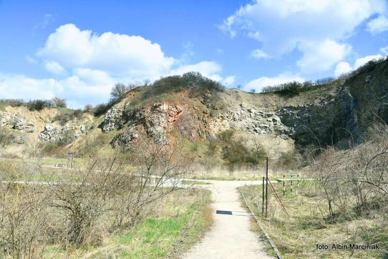 Rezerwat przyrody Wietrznia Geopark Świętokrzyski 7