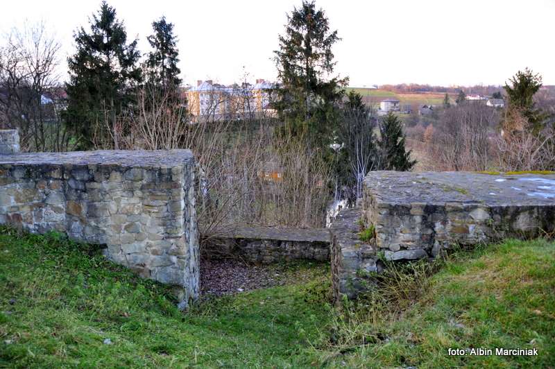 Ruiny zamku w Czchowie 4