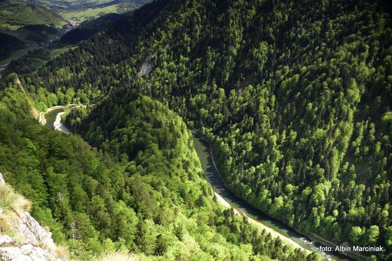 Pieniny Droga Pienińska 4