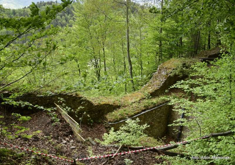 Pieniny Gora Zamkowa 6