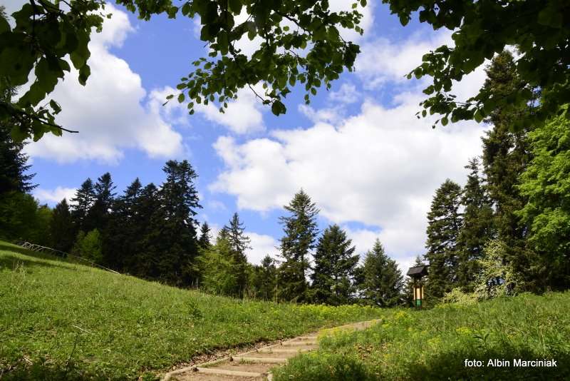 Pieniny szlak na Trzy Korony 5