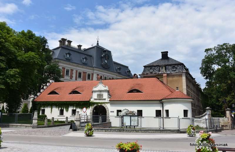 Zamek i Stajnie Książęce w Pszczynie 1