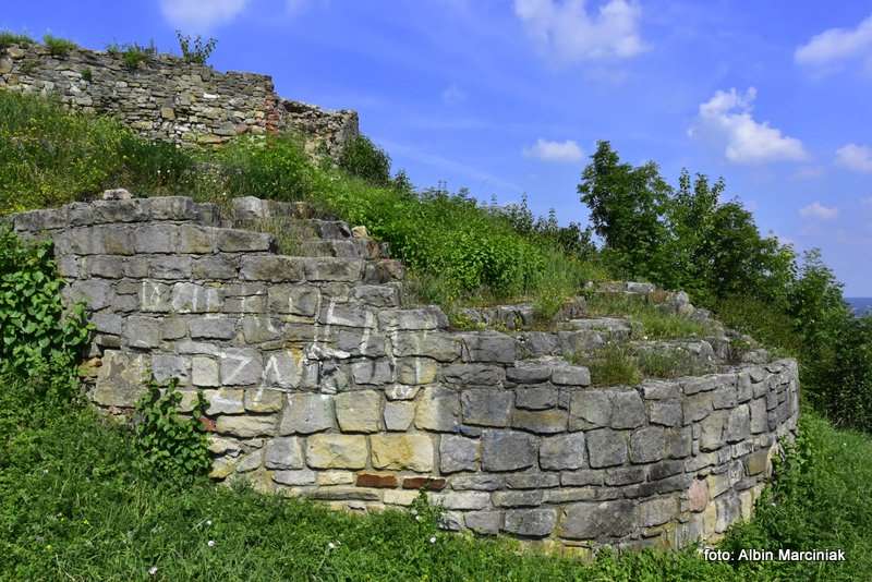  Zamek w Tarnowie 15
