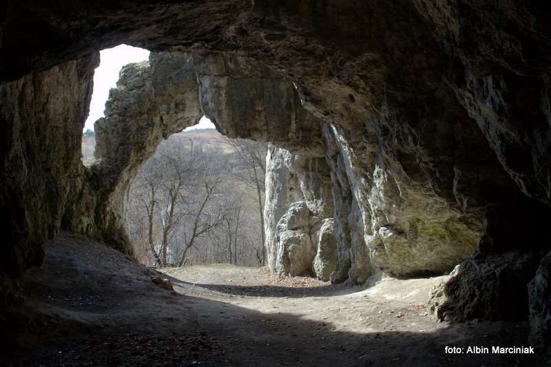 Jaskinia Mamutowa 2
