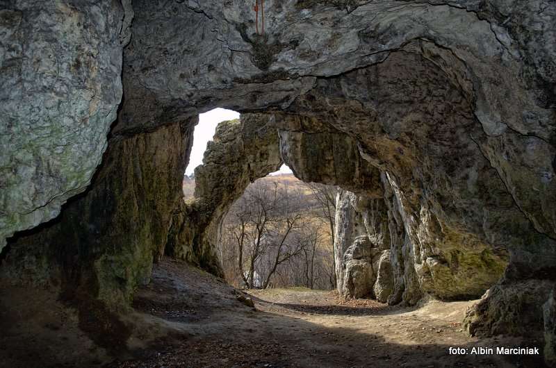 Jaskinia Mamutowa 3