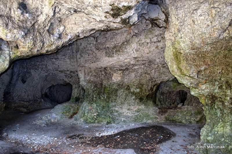 Jaskinia Mamutowa 5