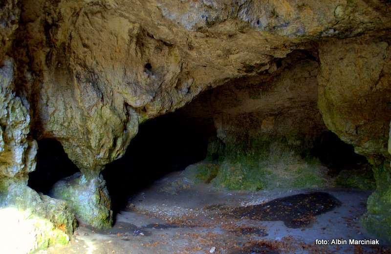 Jaskinia Mamutowa 6