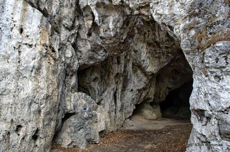 Jaskinia Mamutowa 7