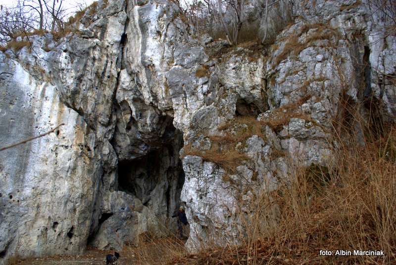 Jaskinia Mamutowa 8
