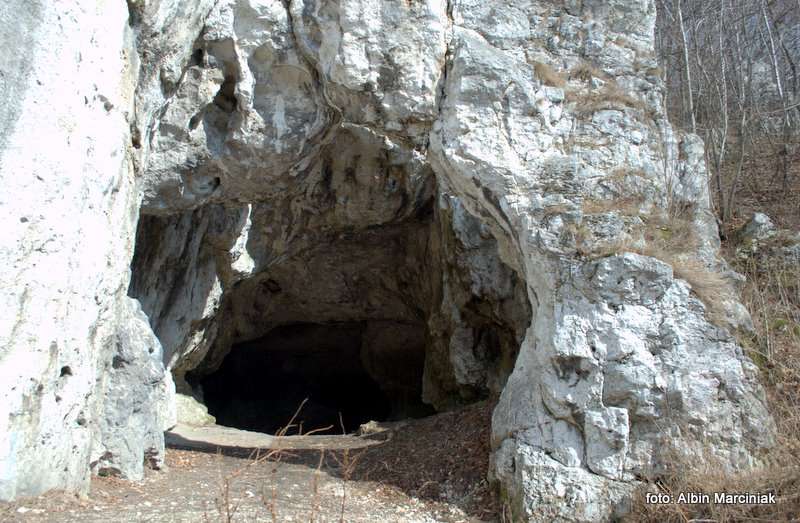 Jaskinia Mamutowa 9