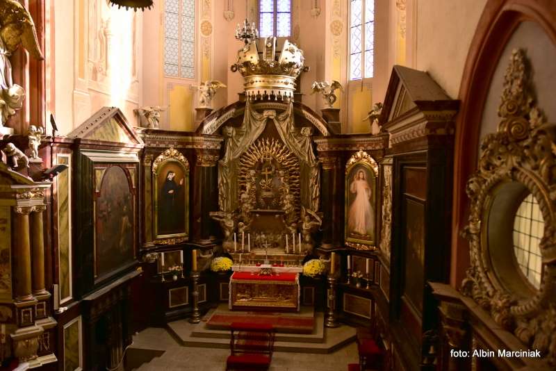 Katedra Świdnicka 15