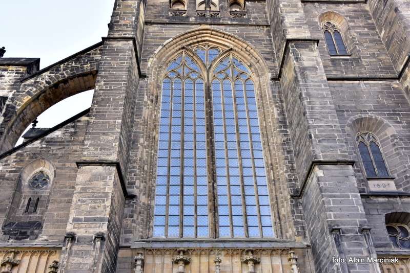 Katedra Świdnicka 5