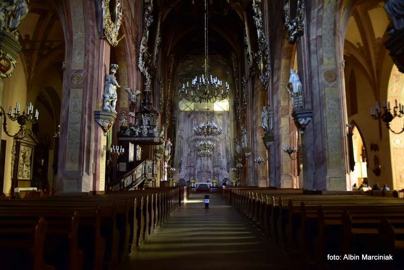 Katedra Świdnicka 7