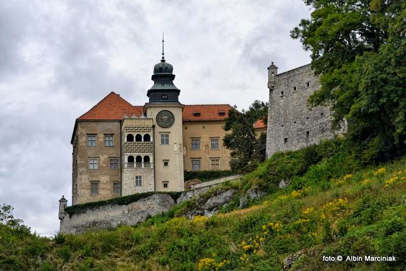https://klubpodroznikow.com/images/stories/relacje/pieskowa_skala/DSC_2951.jpg