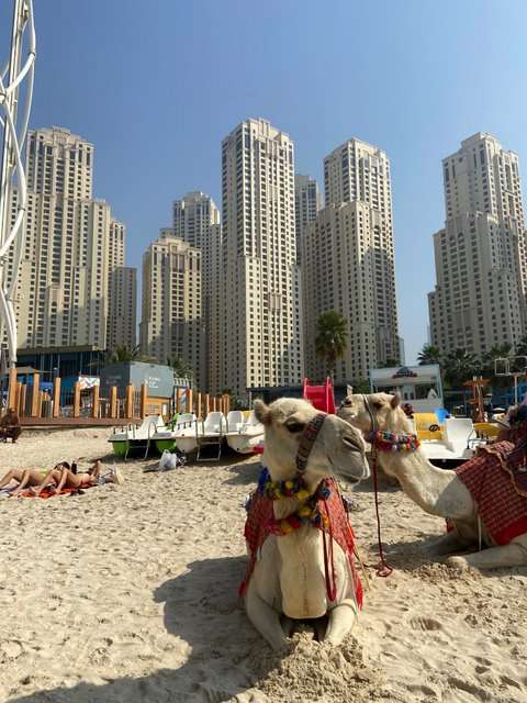 obostrzenia covidowe w Dubaju 4