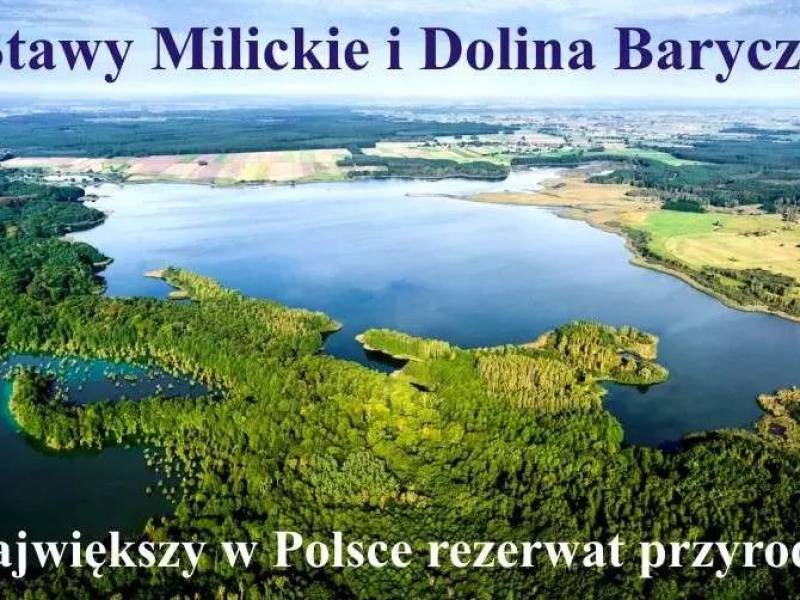 Milicz, Stawy Milickie i Dolina Baryczy